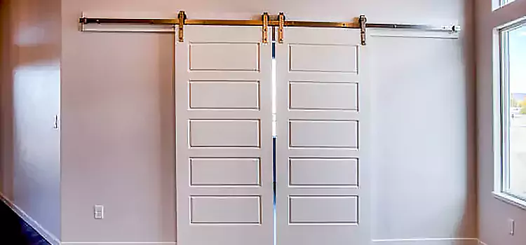 Glass Barn Door with Installation Hardware Kit Charlottesville